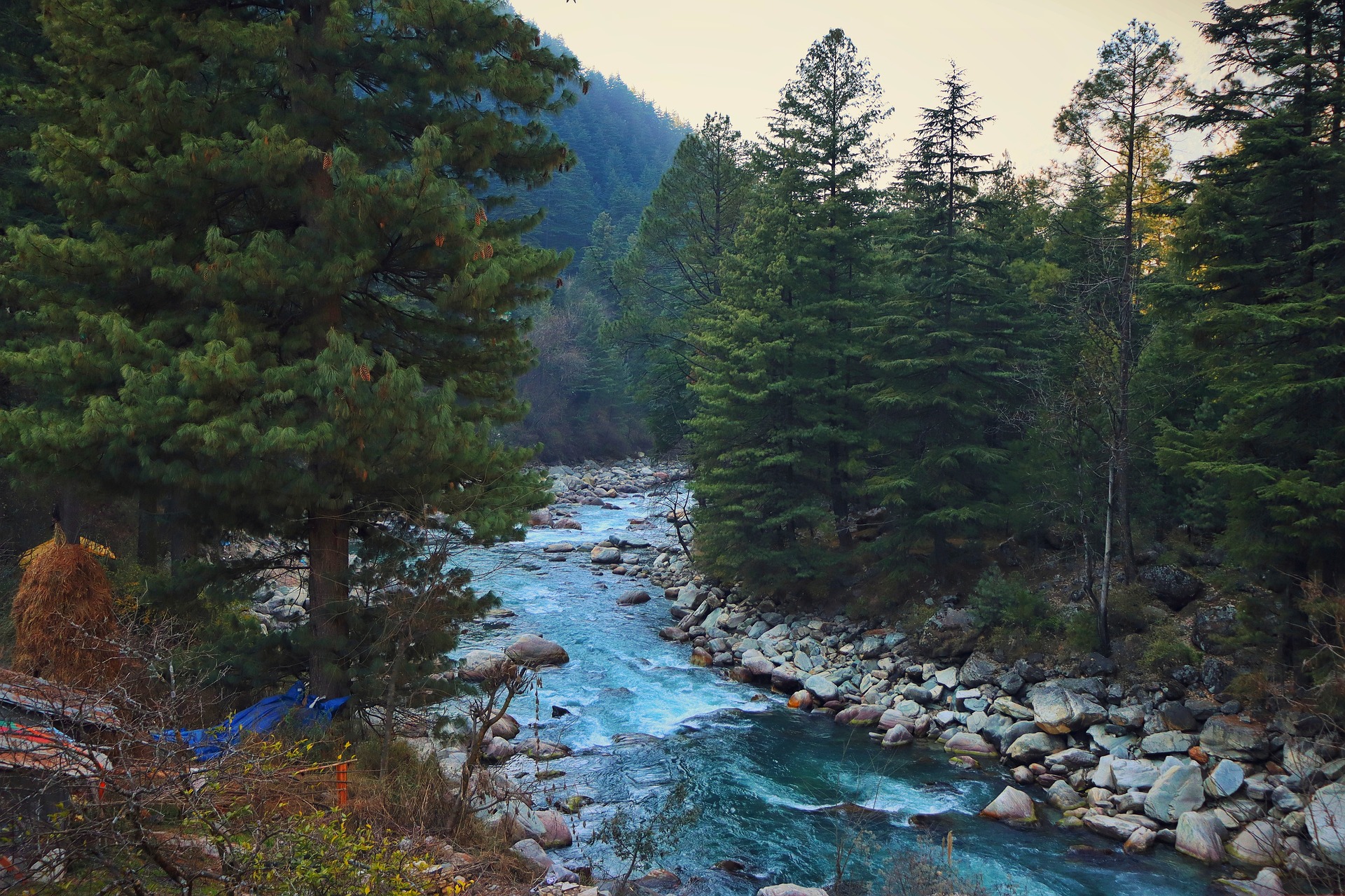 Kasol